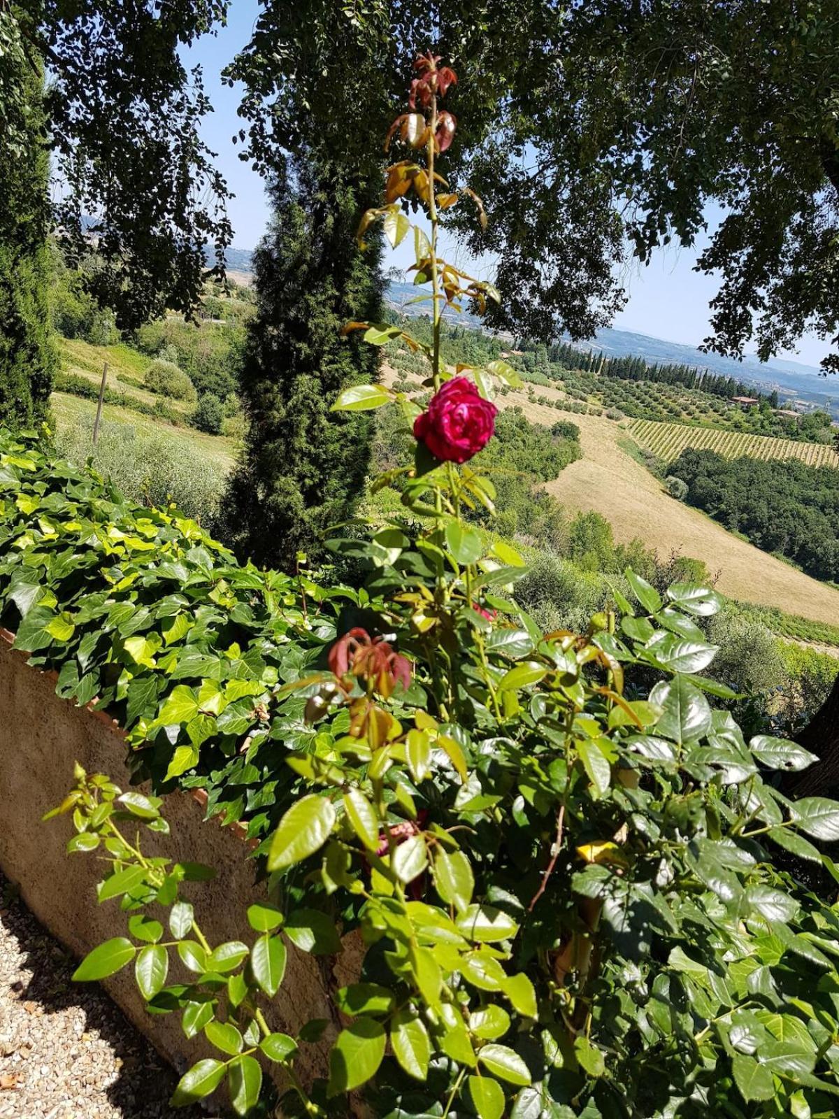 Il Leccio - Casa Toscana San Gimignano Gambassi Terme Zewnętrze zdjęcie