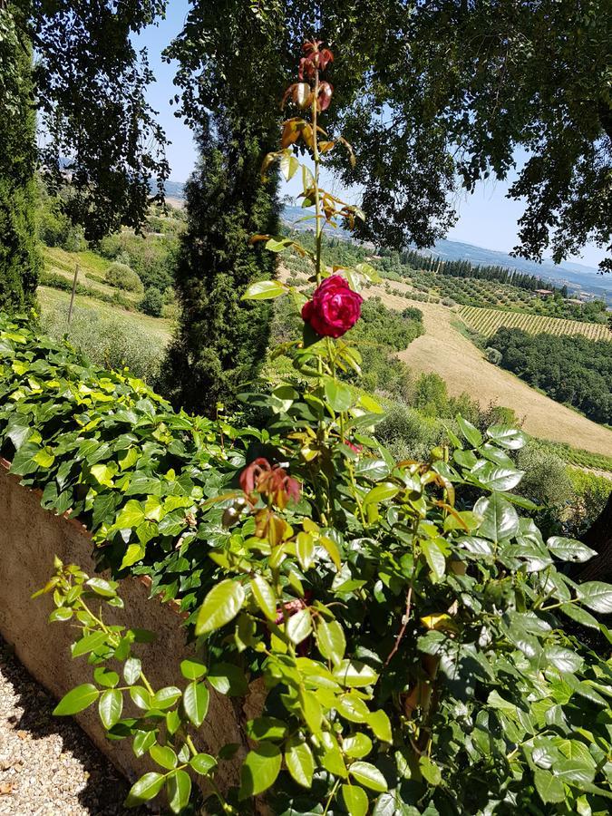 Il Leccio - Casa Toscana San Gimignano Gambassi Terme Zewnętrze zdjęcie
